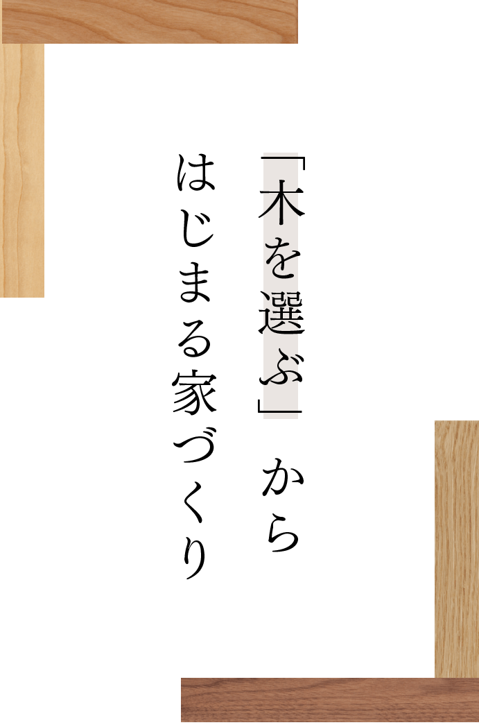 「木を選ぶ」から始まる家づくり